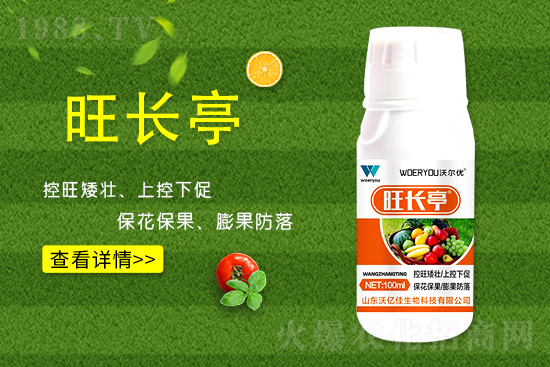 ʲô���S�����L(zh��ng)���S�����L(zh��ng)�ķ��ش�ʩ