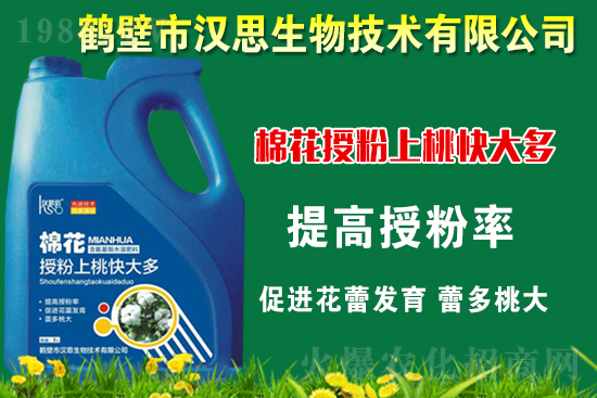 �޻��Nֲ��ô�������޻������L�ڹ���Ҫ�c(di��n)