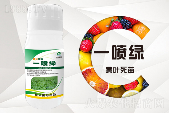 大棚蔬菜育苗為什么容易死苗?怎么解決?