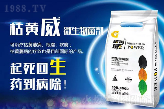 ���Sή�����ݵȲ������Ӝ皢�������͉�����