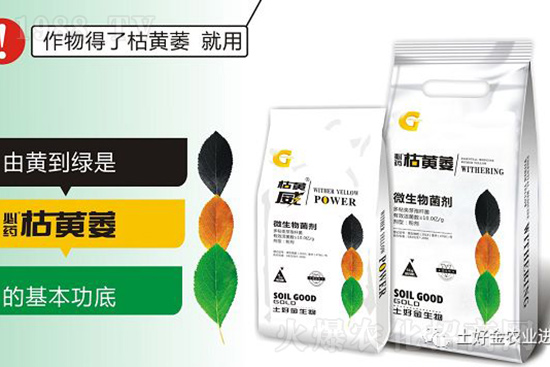 ���Sή�����ݵȲ������Ӝ皢�������͉�����