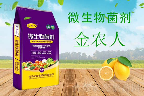 小麥科學防范“倒春寒”,該怎么做?