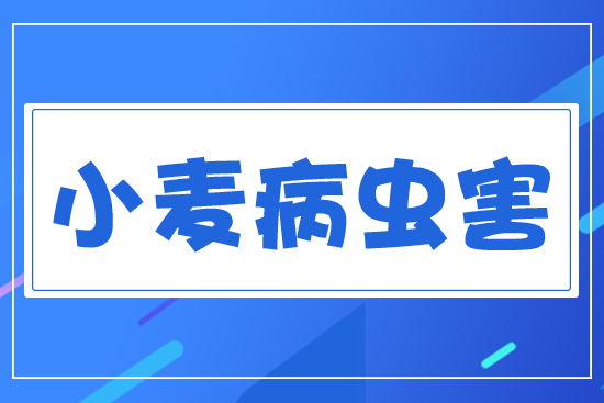 С�����x��