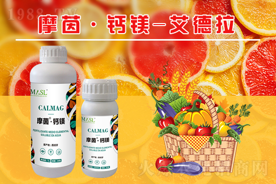 �����a�}�S���ځ���������a���}�V����