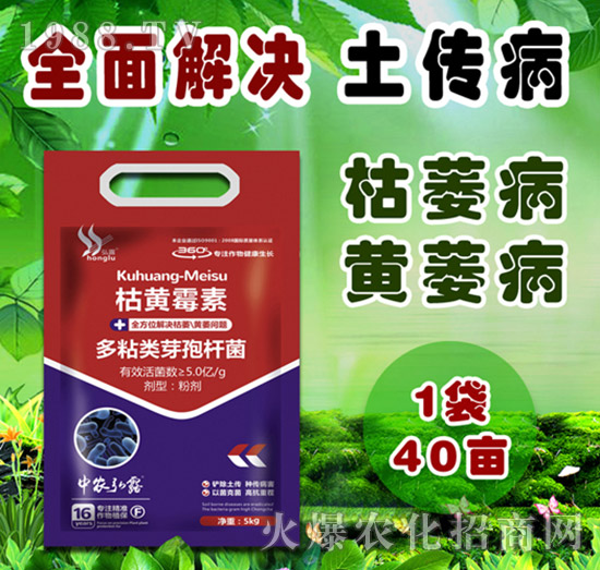     �����Բ�������Щ������ˎ����ô�x��һƪ�����f����