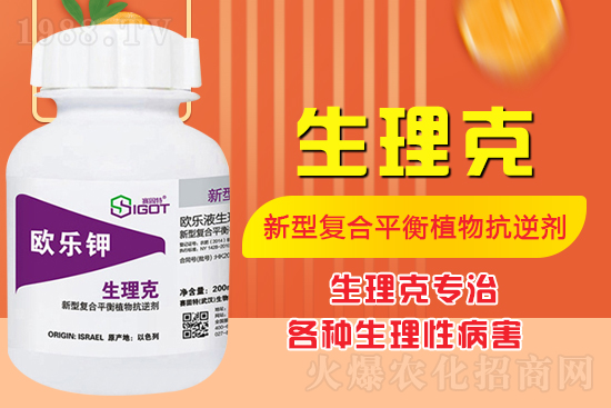 ����Ě������ʲô�Y���ô��Q����Ě������