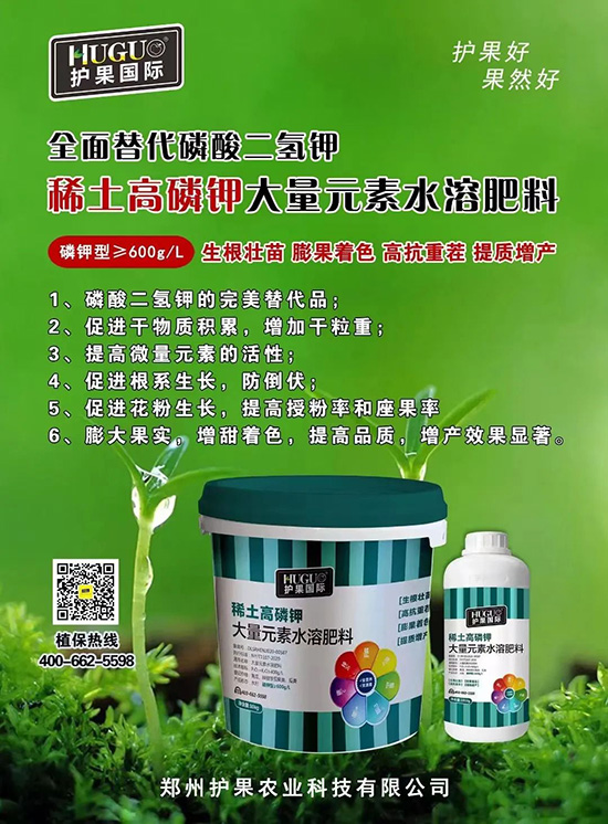 ⛷ʴ�q�r���@�N⛷���ݶ��ϣ����������������ռ���f�Ј�