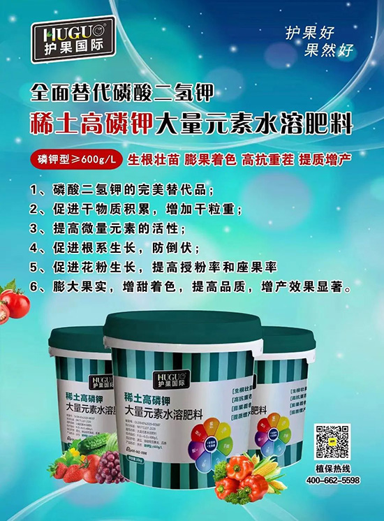 ⛷ʴ�q�r���@�N⛷���ݶ��ϣ����������������ռ���f�Ј�