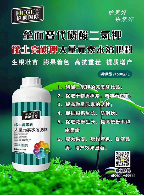 ⛷ʴ�q�r���@�N⛷���ݶ���������������⛣���ռ���f�Ј�