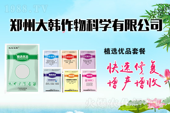 ����ˎ���ʺ��l�l(f��)��ô�k���l(f��)��ˎ���ʺ�����a(b��)����