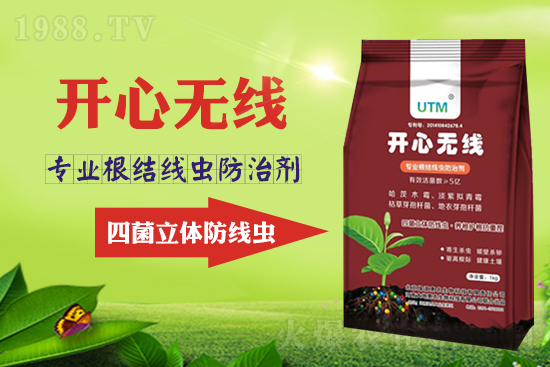 ���Y(ji��)���xΣ���������x������Ҋ�R����