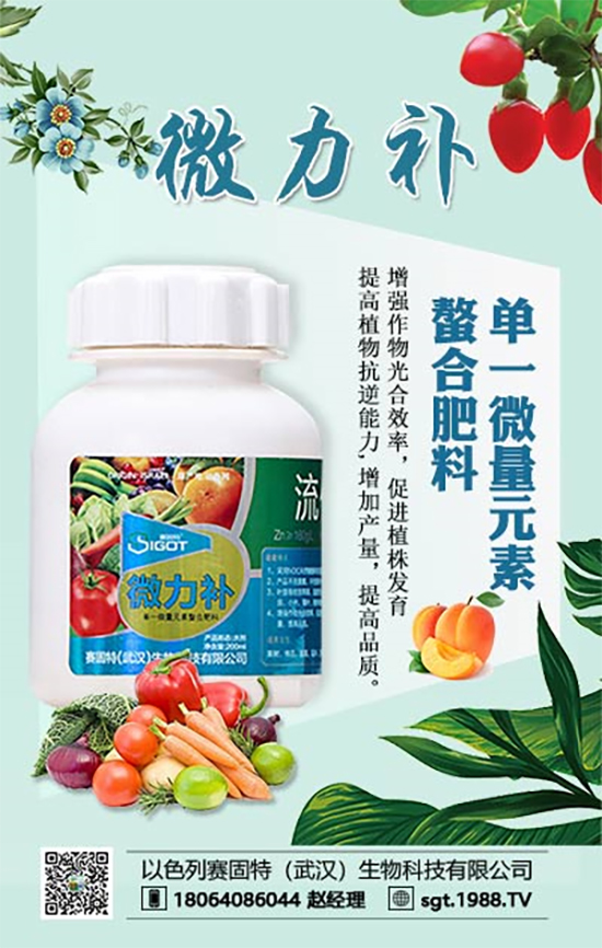 ���ι���С�~���S�~�������������У�