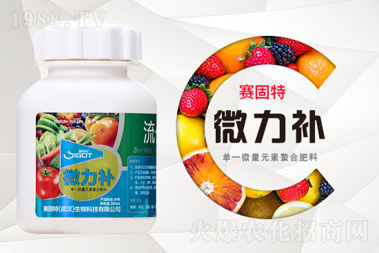 ���ι���С�~���S�~����������������