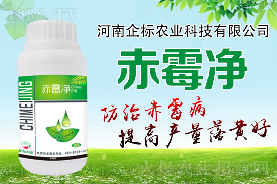 �o�����ѣ�δ��(l��i)ʮ����С����ù�������P(gu��n)�I������(w��)��ץ����