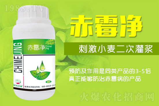 �o�����ѣ�δ��(l��i)ʮ����С����ù�������P(gu��n)�I������(w��)��ץ����