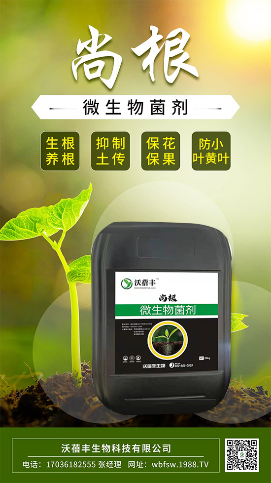 怎么才能讓作物生根壯根呢？這樣做讓作物生根到底！