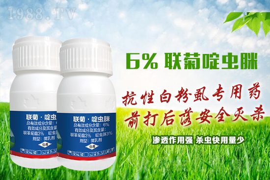 ���԰׷�ʭ�y�����y�����@����ˎ�x���p�������x��