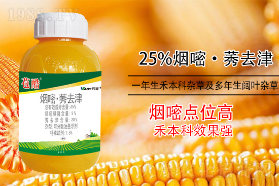 ���׳��ݣ��e���@�׷N���݄���