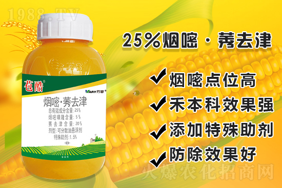 ���׳������e���@�׷N���݄���