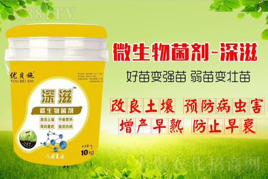 作物如何爆發(fā)式生根呢?生根養(yǎng)根方案快來看!