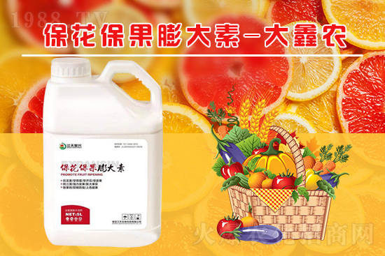 �ļ���������ٲ�������α��������