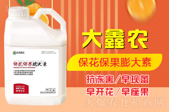 �ļ���������ٲ�������α������