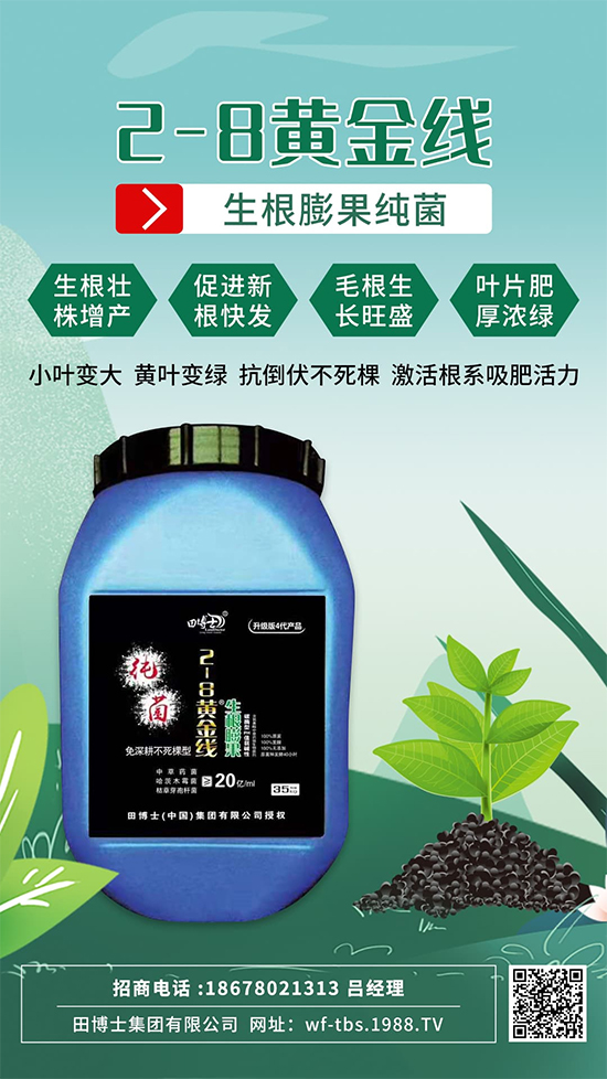 ���Ƿʵ������f�����L����ϵ�����ﱬ�l(f��)����ԇԇ�@һ��! 