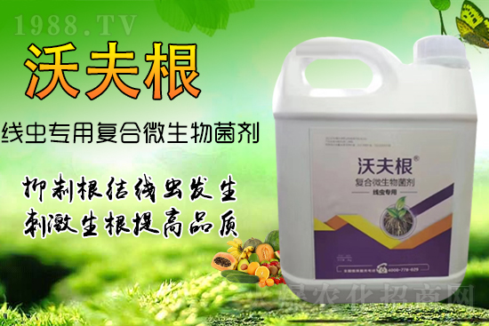 ���Y(ji��)���x��Ⱦ���������������У�������Ч����!