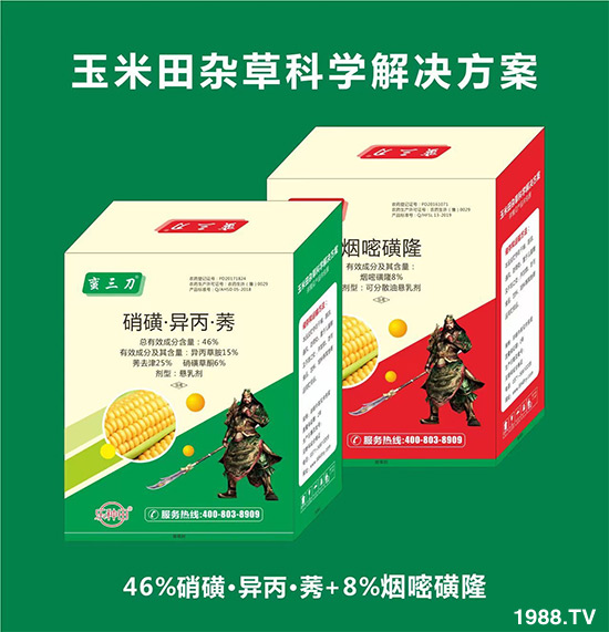     ���׻������ļ�����Ҫ�r(n��ng)�������Nֲ��e�����a(ch��n)������Ч��ã����s�ݷ��΅s���r(n��ng)������ʮ���^�����Ⱥ���ˎ�����ֺ��·���Ч��������