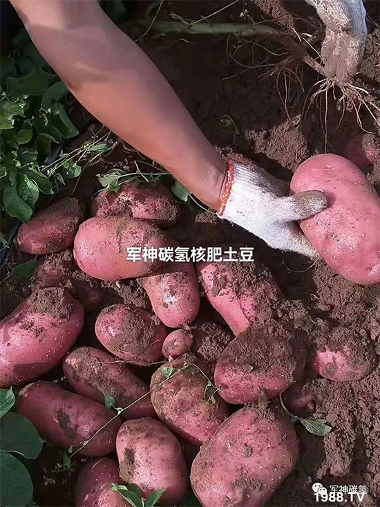 山東軍神碳?xì)渖锟萍加邢薰?8