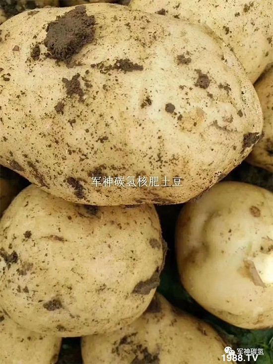 山東軍神碳?xì)渖锟萍加邢薰?7