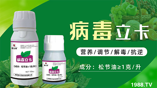 �ƽ�ֲ�ﲡ�������y�}�����ٻ֏�(f��)���C���@��ˎ���Ͼ͹�����