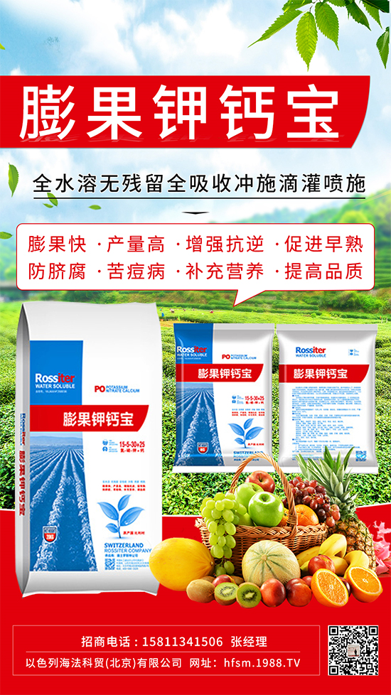 柑橘進(jìn)入膨大期,如何提升“顏值”?這個(gè)方案值得擁有!