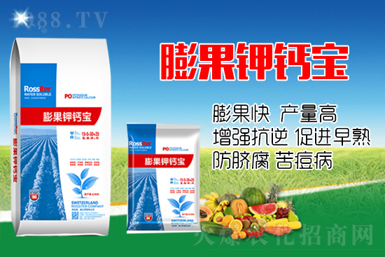 柑橘進(jìn)入膨大期,如何提升“顏值”?這個(gè)方案值得擁有!