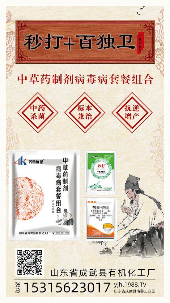 “植物癌癥-病毒病”被攻克了!純中草藥“殺菌霸主”