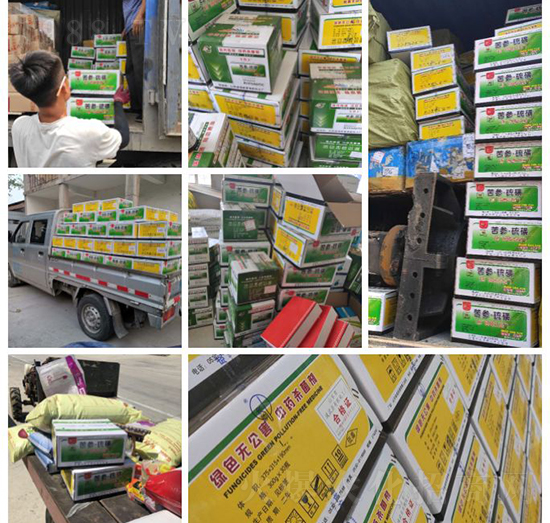 “植物癌癥-病毒病”被攻克了!純中草藥“殺菌霸主”