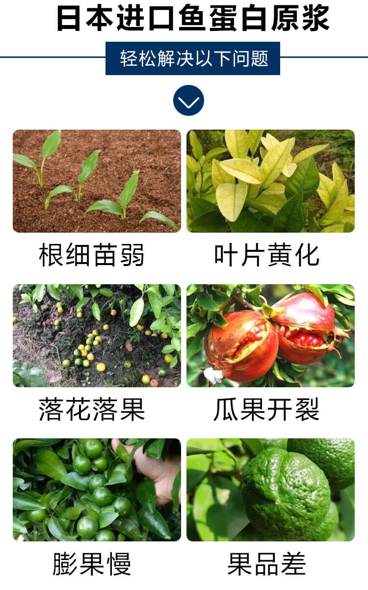 �ձ��M���~����ԭ�{5