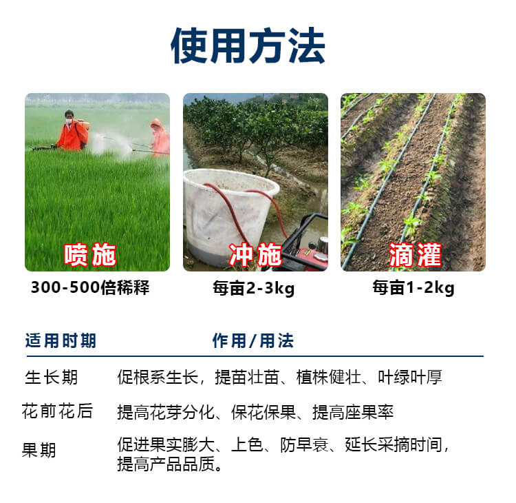 �ձ��M���~����ԭ�{8