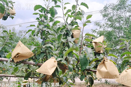     �����״���ɜp���r(n��ng)ˎ���������ƹ��ӵ����^Ʒ�|(zh��)���ɴ����߹�Ʒ�u���������׳��۲��u���߃r�����Թ����״�Ŀǰ��Ȼ���҇����@����Ҫ�����������״��O��������Ǻ���Ҳ�ٲ�����