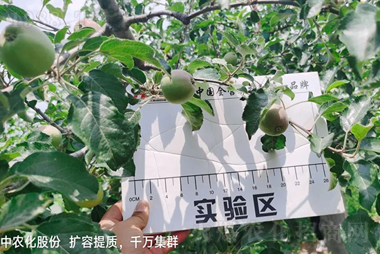     �����״���ɜp���r(n��ng)ˎ���������ƹ��ӵ����^Ʒ�|(zh��)���ɴ����߹�Ʒ�u���������׳��۲��u���߃r�����Թ����״�Ŀǰ��Ȼ���҇����@����Ҫ�����������״��O��������Ǻ���Ҳ�ٲ�����