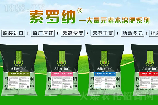 �ͺϷʝq�r���� �����@�׿�߶��M�����ͷʅs�����Ј����G�G��