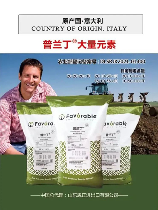 交500頂2000,高端進口肥“性價比霸主”