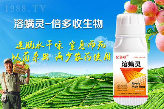 �ļ������~�����l(f��)��ô�k�������~����(y��ng)ԓ���ӷ�����