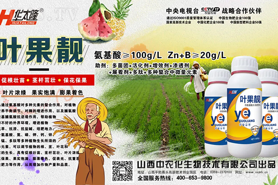     �O������С��ʲôԭ������Q��������Щ��