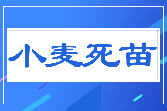 С������