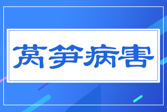 ���n�S����