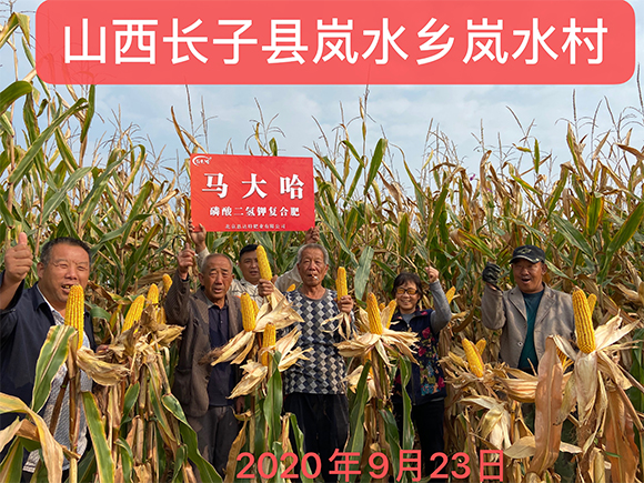 С����������������ȫˮ�܏�(f��)�Ϸ���26-16-6-�R���-�r(n��ng)������5