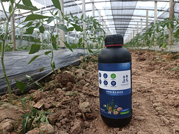 甲殼素螯合超濃液-臺(tái)灣新芽2