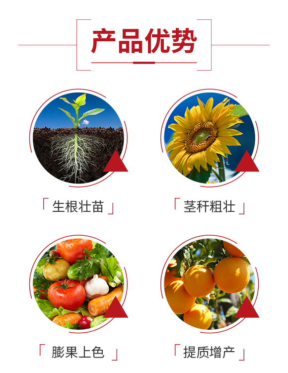 ��ɽ���(y��ng)�r(n��ng)�I(y��)�Ƽ����޹�˾_03