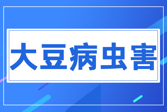 �󶹲��x(ch��ng)��